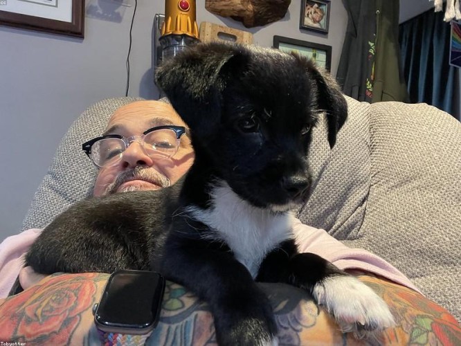 Lovato e Serrano S.A.