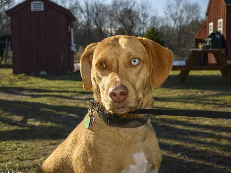 Benites e Bezerra S.A. Services