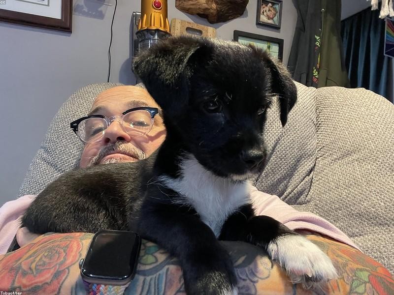 Lovato e Serrano S.A.