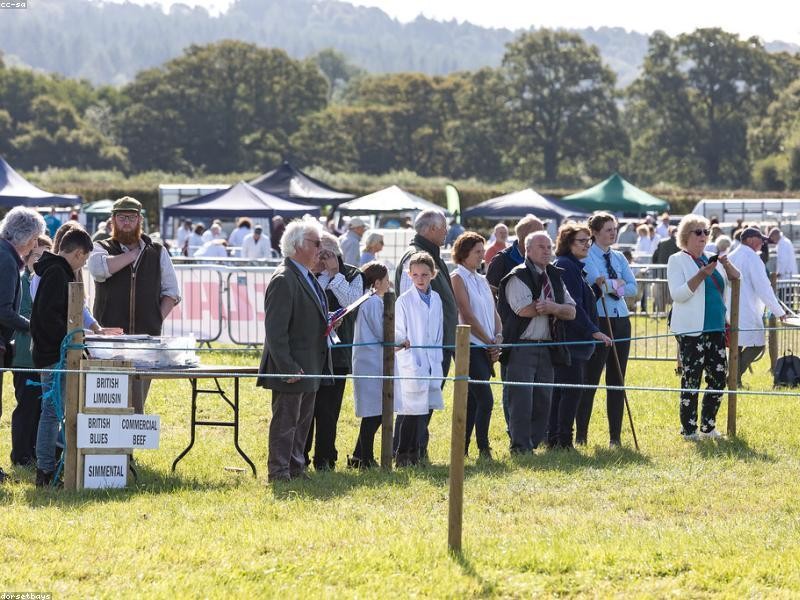 Lourenço Ltda. Solutions