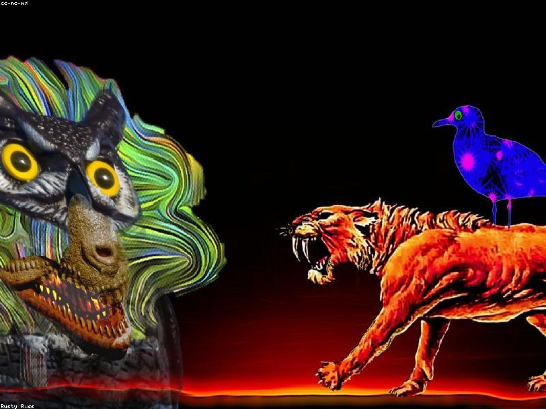 Souza Ltda. Services