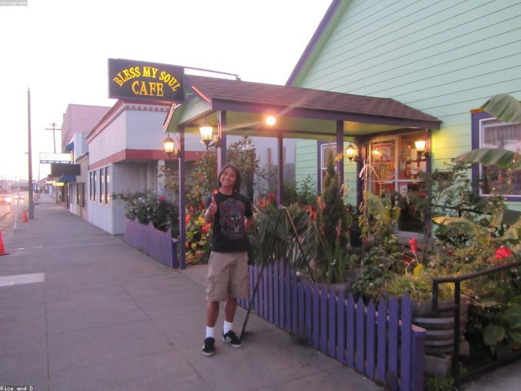 Matos-Sanches Solutions