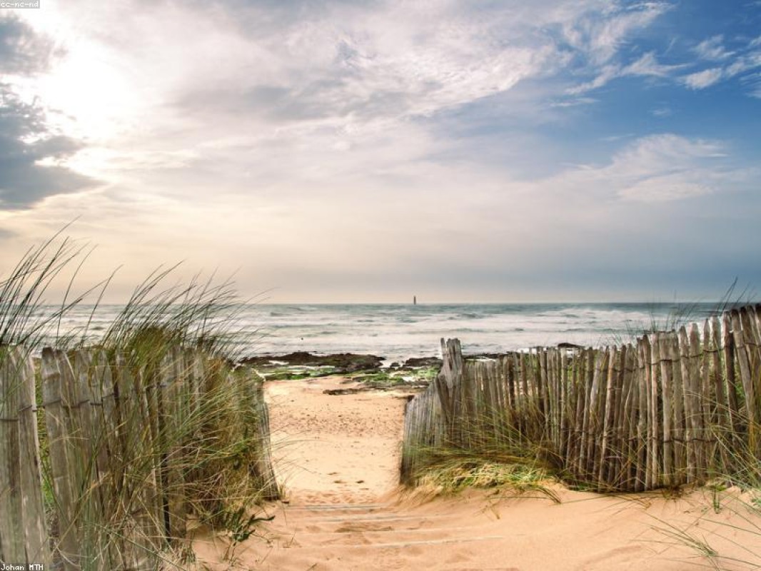 Queirós Ltda. Services